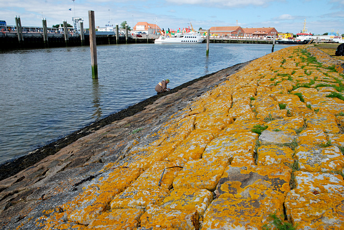 Altes Deckwerk an der Hafeneinfahrt Norderney