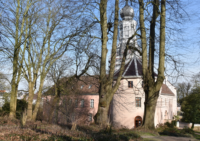 Flechtenexkursion Jever Flechtenexkursion Jever
