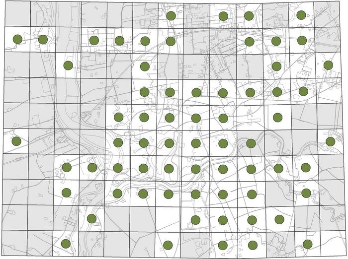 Rasterkartierung von Rindenflechten im Raum Leer Nachweise der Anliegenden Schwielenflechte (Hyperphyscia adglutinata), einer früher sehr seltenen Art mit heute starker Ausbreitungstendenz