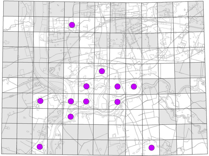 Rasterkartierung von Rindenflechten im Raum Leer Nachweise der Essigflechte (Pleurosticta acetabulum), deren Bestände zurückgehen und die nur noch an alten Gehölzen in geschützten Lagen vorkommt (z.B. Friedhöfe und Parks)