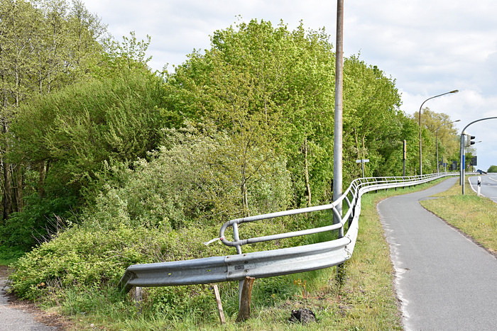 Junges Straßenbegleitgrün an einer Straßenböschung (B 436, Leda-Brücke)