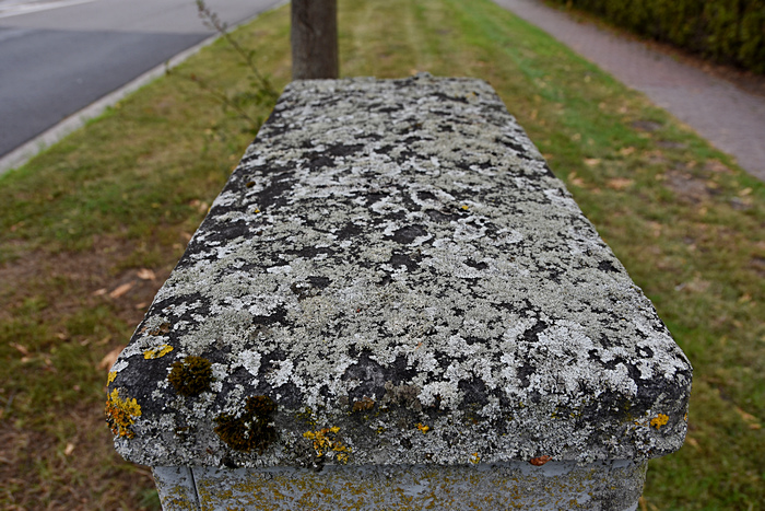 Abdeckung eines Schaltkastens der Telekom in Hinte (Landkreis Aurich)